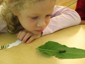 Careful observation is key!