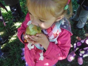 Tasting a just-picked apple!