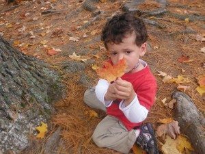 Aidan's orange leaf.