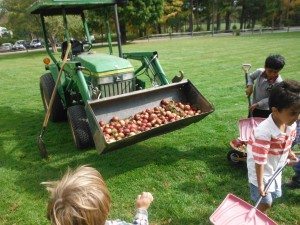 Helping Colin collect all the real apples outside.  Too many to count!!