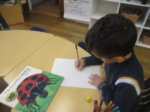 Eric Carle author study