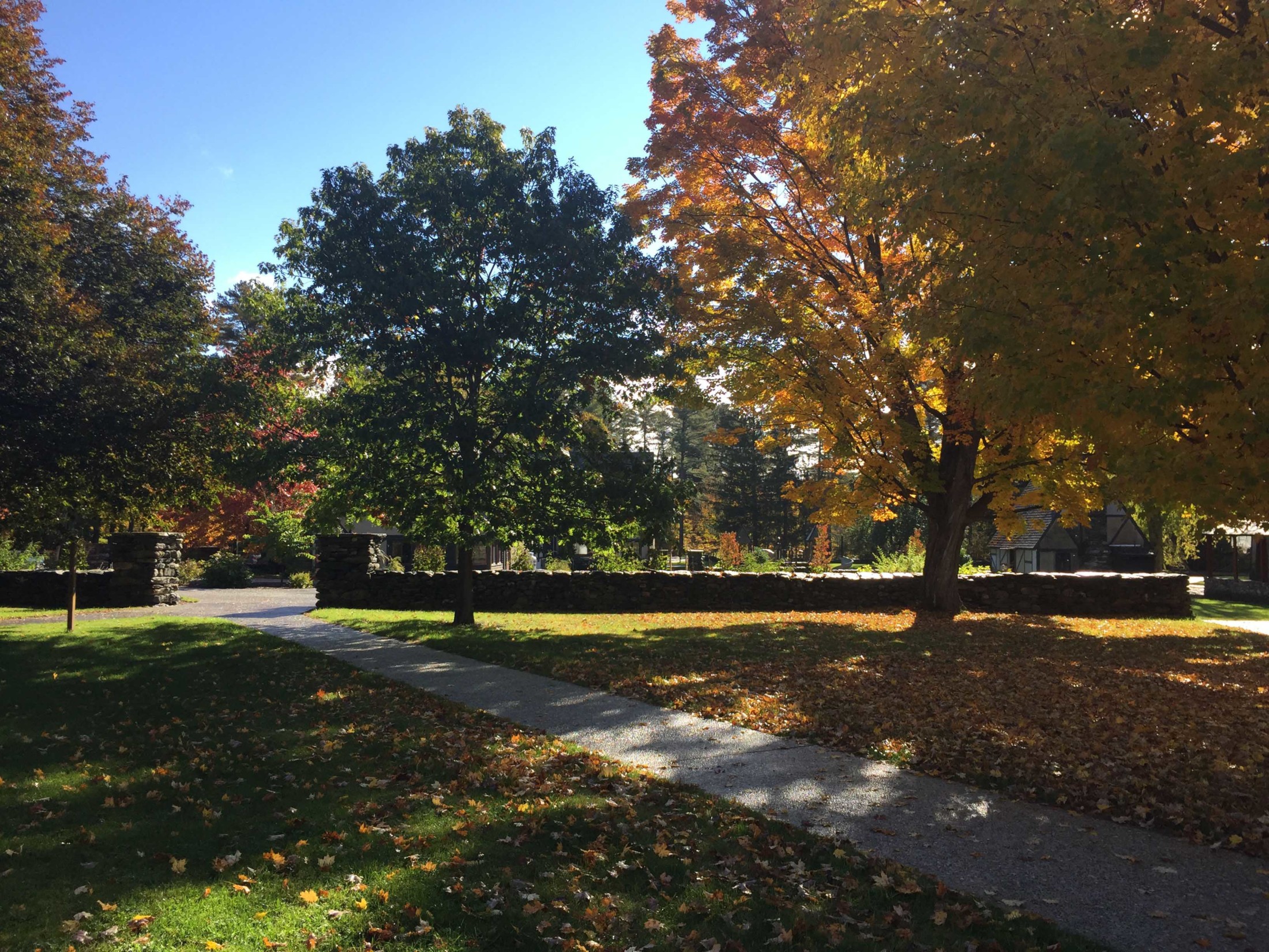 Berkshire Country Day School - Mission